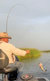 Headwaters Lake Open For Bass Fishing - Fish Hand Guide Service - Fellsmere, FL